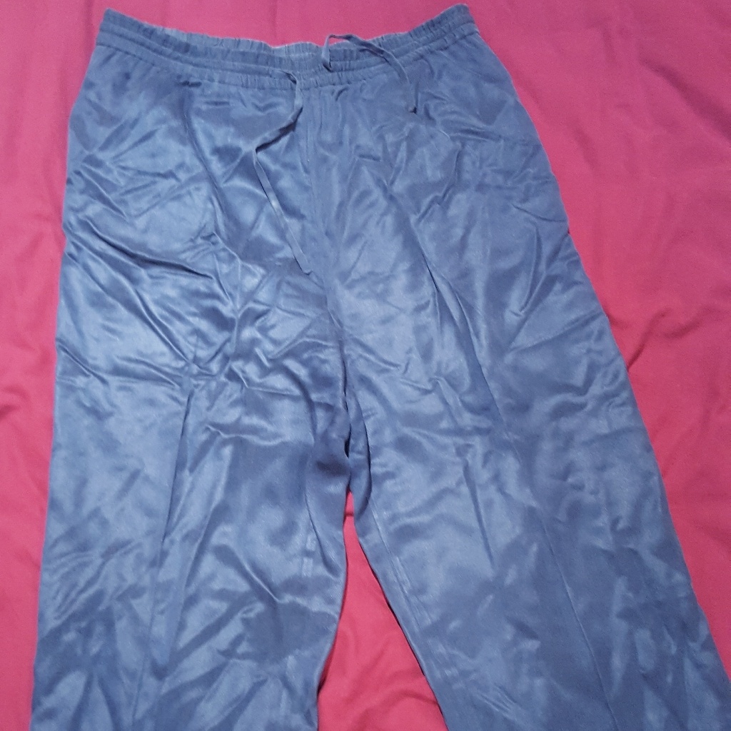 Blue Silk Drawstring Pants, Petite